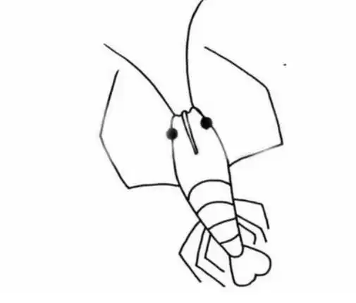 小虾简笔画