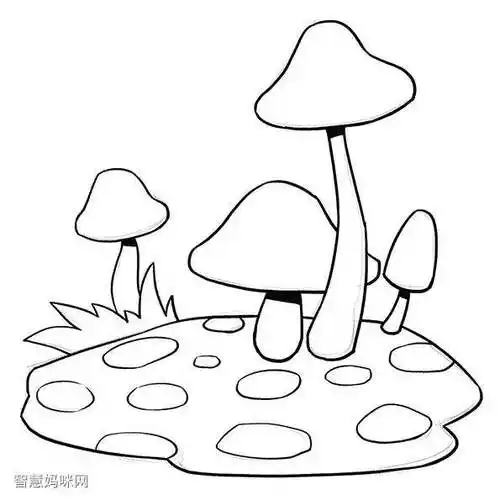 步骤2:然后,我们用勾线笔对草图进行勾线.