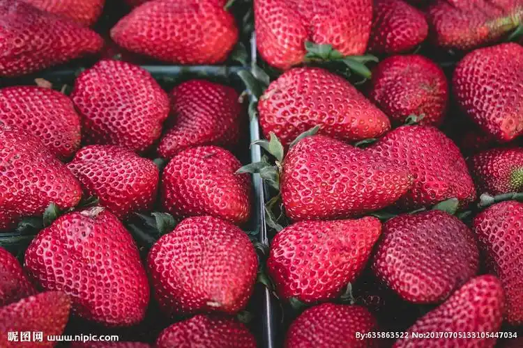 一堆草莓图片