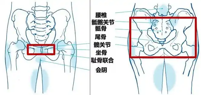 缓解方法戳这篇!|骨盆|腰椎|关节松弛_新浪新闻
