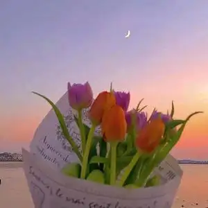 开心的玫瑰头像