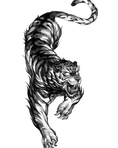 老虎纹身图案手稿