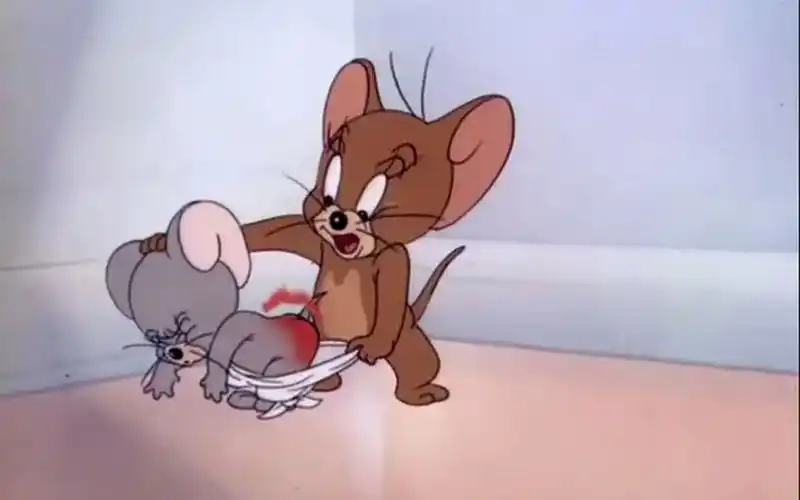 让曾经被鸭爸爸,鸡妈妈,大狗斯派克还有杰瑞狂揍过的汤姆来告诉你 (2)