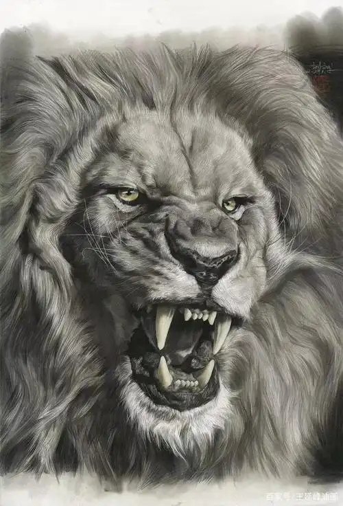 素描狮子头像