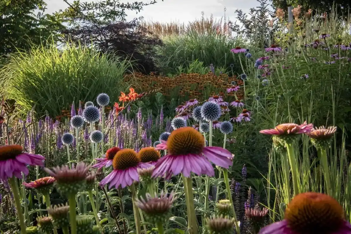 花境设计案例分享.花园并非一个项目,而是一件艺术作品,更 - 抖音