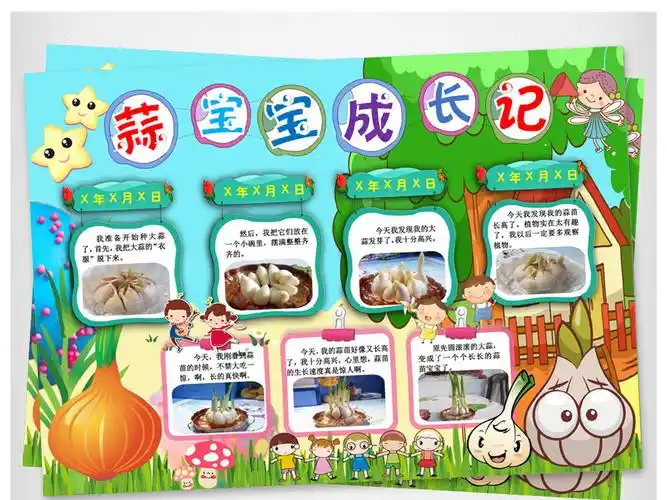 大蒜成长日记小报植物生长手抄报电子小报大蒜宝宝成长小报手抄报蒜苗