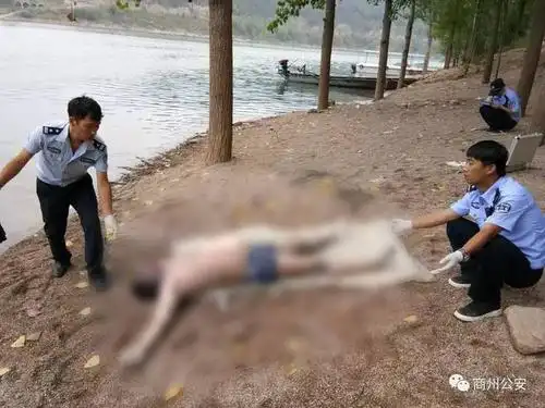 接警后,民警立即赶赴现场,将尸体打捞上岸.