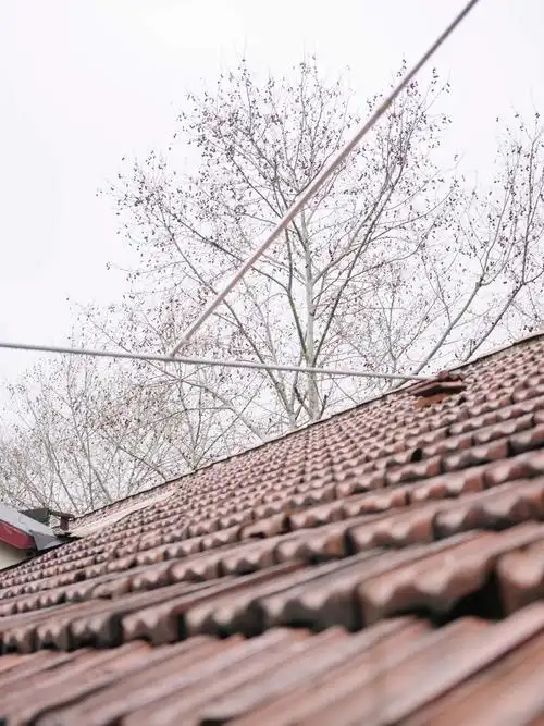 2021年,慎成里的红瓦屋顶.澎湃新闻记者 周平浪 图