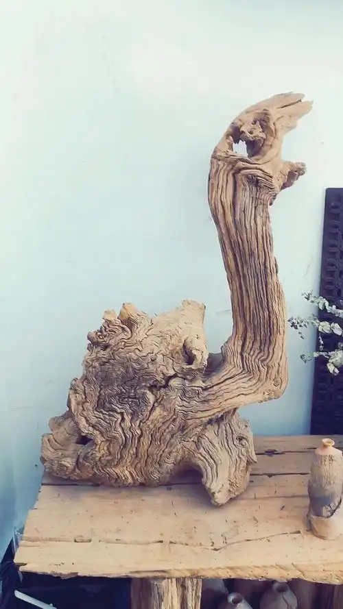 天然造型木艺 枯木骆驼