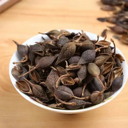 北京同仁堂原料连翘 中药材 银翘 青翘 黄翘 老翘 干净无开瓣可磨连翘