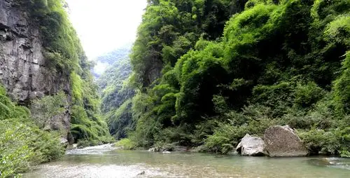 杉木河:可以这样"玩"