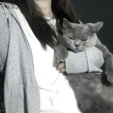 高冷一个女生抱着猫的头像