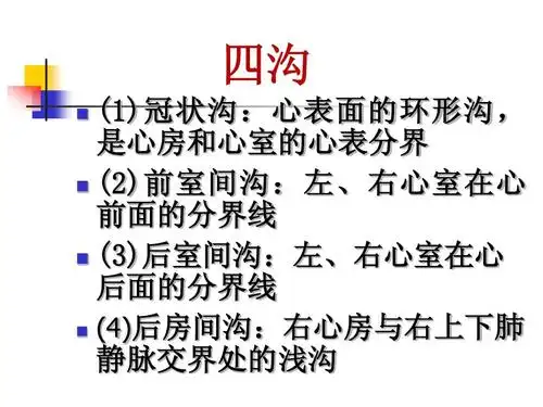 四沟  (1)冠状沟:心表面的环形沟, 是心房和心室的心表分界   (2)前室