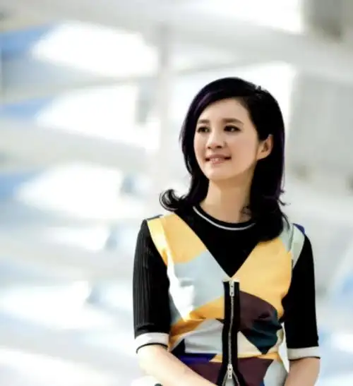 许戈辉:央视最可恶主持,怀着孕赶走原配嫁入豪门,最后遭央视辞退