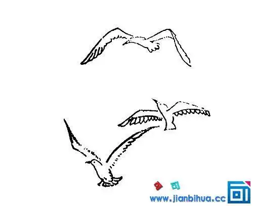 卡通海燕简笔画可爱 简笔画图片大全-蒲城教育文学网