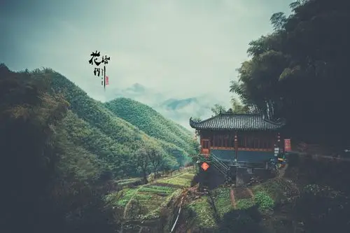 色证明此行是值得的,卧虎藏龙在这里有分镜,此时竹林幽静,蒙蒙细雨中