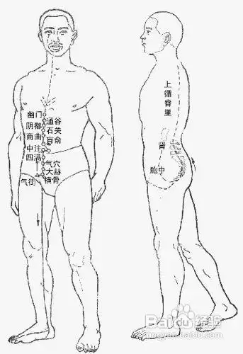 中医经络知识[3]冲脉图解
