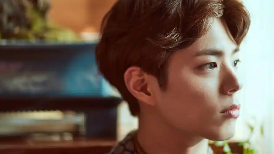 日韩明星朴宝剑明星风尚壁纸3