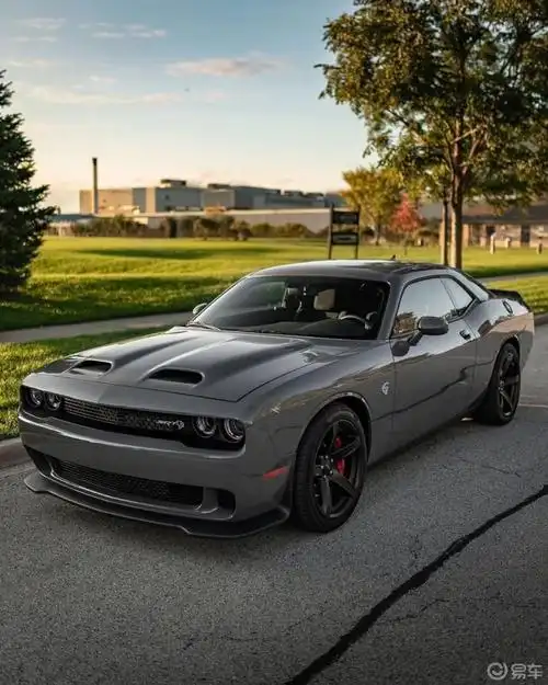 每天认识一辆车道奇挑战者