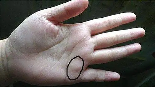 没有"子女缘"的女人手相,子女来得晚,享不到子女福!