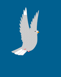 神圣和平的使者～最美丽的信鸽及动态图!