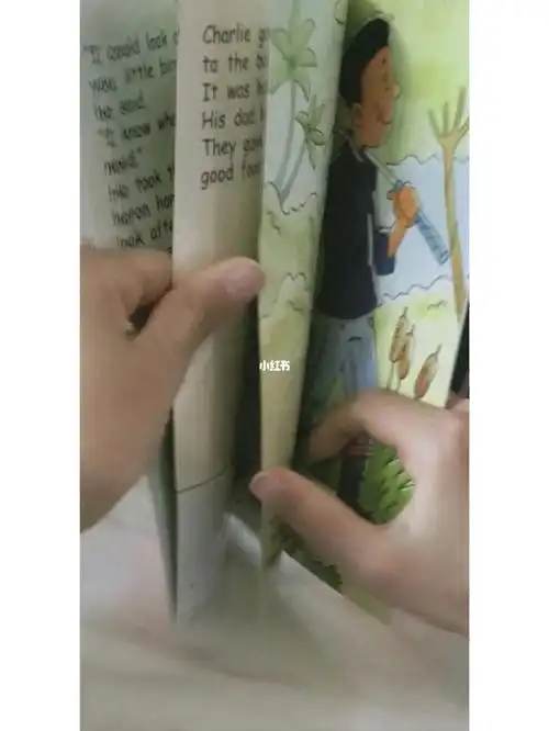 今天读的流畅级橙色级别的这一本charlies flying lessons内容是一个