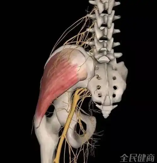 臀中肌综合征如果一个人坐凳子不怎么痛,但是起身的时候会感觉到疼痛