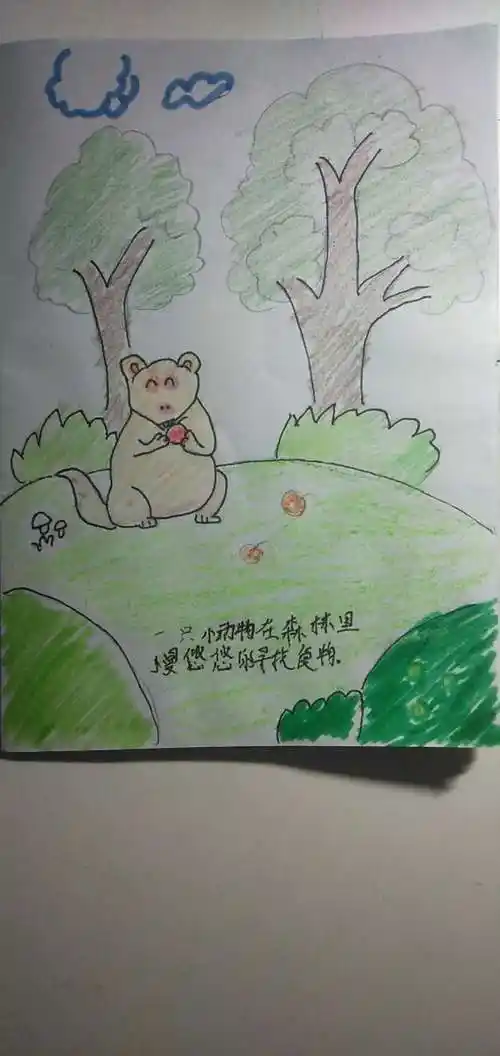 【丛阳小学绘本展】绘本画廊创"疫"读写——五年级三班(张睿婕)