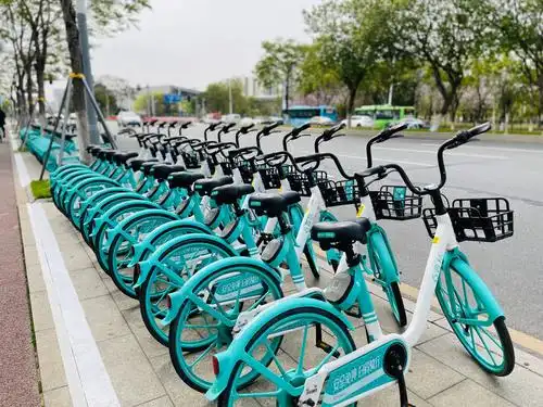 共享单车来南沙了!你今天体验了吗?