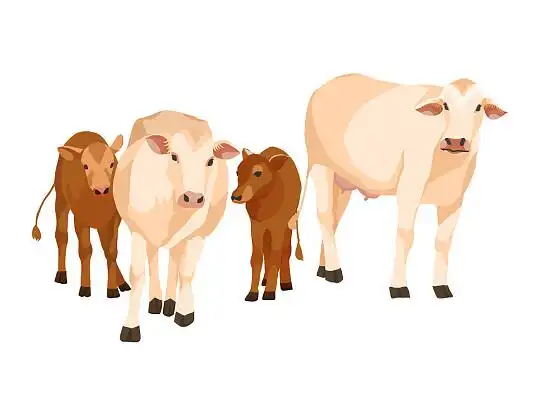 卡通牛元素牛群母牛小牛动物免抠png素材