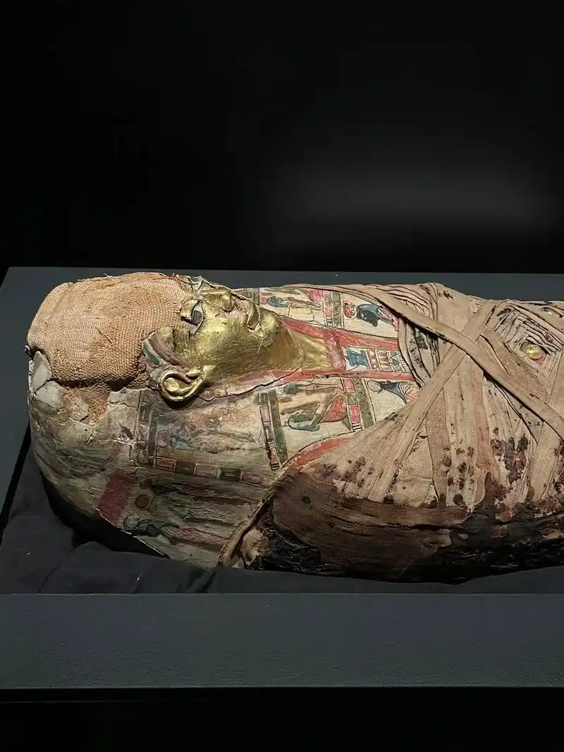 公元1世纪·儿童木乃伊.