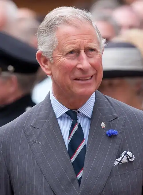 file:prince charles 2012.jpg