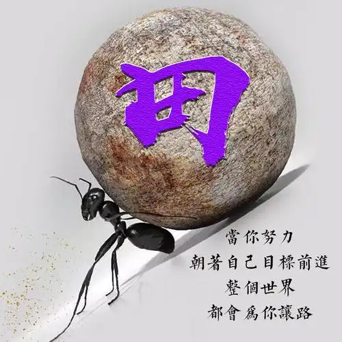 编号1747:20张免费姓氏,2020勇往直前-微信头像,百家姓氏微信头像