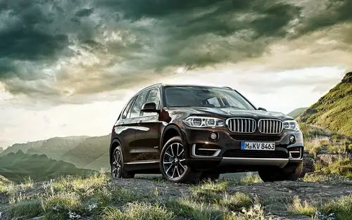 bmw x5 suv棕色车