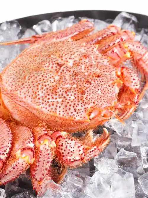 来酒店吃北海道的红毛蟹02