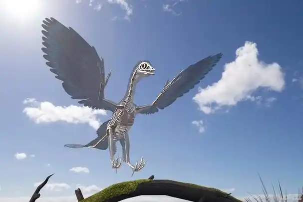 史上最大的飞行动物——风神翼龙