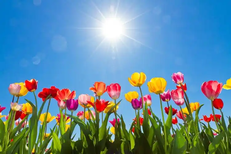 【一周新视觉 】第三十期 阳光灿烂的日子