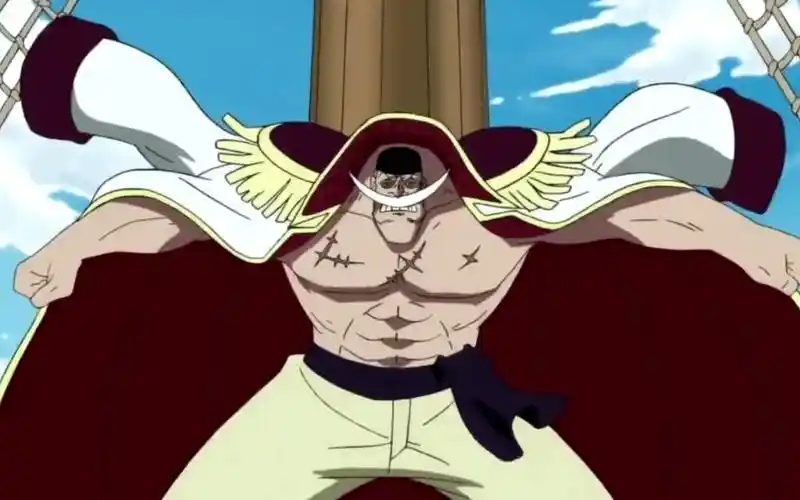 开局一根棒子和一艘船,这就是老爹传奇之旅行!#海贼王白胡子