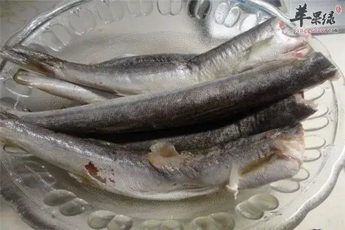 黄钻鱼的作用 可以防痴呆防中风