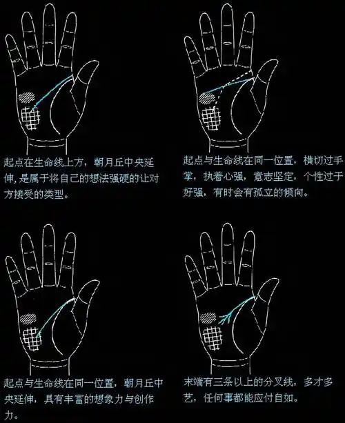 智慧线手相图解:智能线的末端位置落在水平线附近