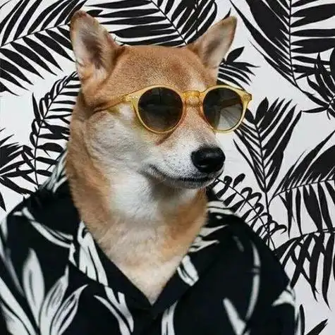 男生大佬专用头像动物 - 搜狗图片搜索