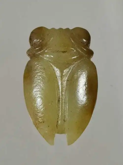 第十五拍品. 旧藏:红山玉蝉. 材质:河磨玉. 尺寸:4.45★2.73厘米.