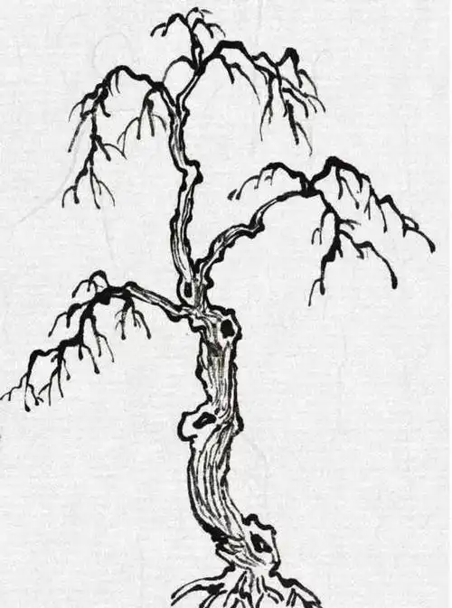 国画教程不同树的画法简单易学快收藏