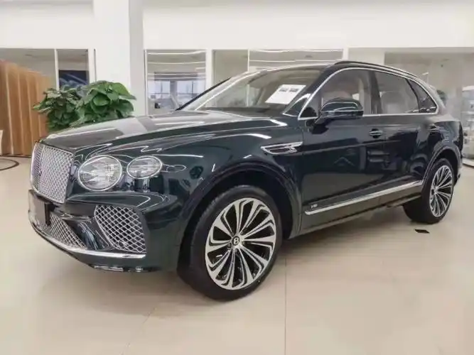 宾利添越v860碧玺绿驼绒黄墨绿