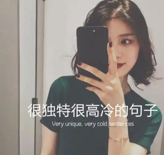 很独特很高冷的句子,句句霸气,冷酷,拽