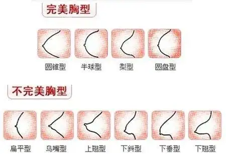 女性乳房的发育过程女性乳房的发育过程分几期