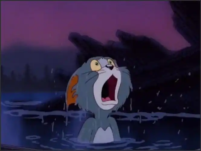 猫和老鼠大结局:汤姆一人孤独终老