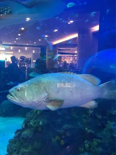 5我来到了双流海洋馆,这是我第二次来参观这里的奇景,很兴奋又喜悦