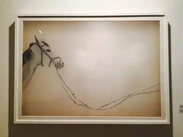 杨宇歌手个人资料 音乐剧金沙杨宇个人资料