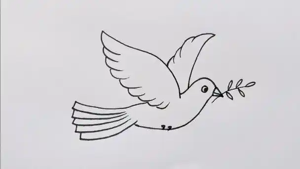 简单好看和平鸽简笔画的画法步骤教程鸽子简笔画大全可爱白鸽简笔画三